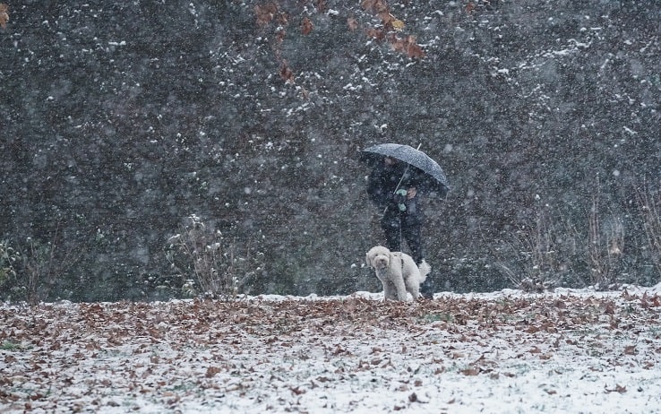 Prima neve della stagione a Torino. Torino 08 dicembre 2021 ANSA/TINO ROMANO