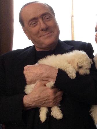 Silvio Berlusconi e Francesca Pascale con i cani Dudu e Dudina, a Milano, 01 giugno 2014.
ANSA/Michela Brambilla-circolodellaliberta- EDITORIAL USE ONLY
