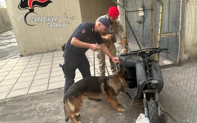 operazione catania