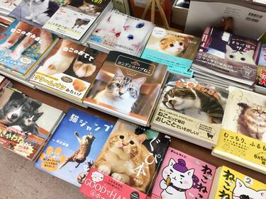 5. Libreria nel quartiere di Jimbocho