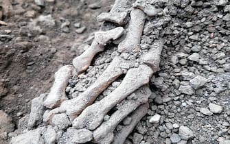 Oggetti trovati accanto agli scheletri di due nuove vittime di un terremoto, durante uno scavo nell'Insula dei Casti Amanti, a Pompei, in una foto diffusa il 16 maggio 2023. Sono le vittime di un terremoto che ha accompagnato l'eruzione, ritrovate sotto il crollo di un muro avvenuto tra la fase finale di sedimentazione dei lapilli. ANSA/ UFFICIO STAMPA MINISTERO DELLA CULTURA ++HO - NO SALES EDITORIAL USE ONLY +NPK+