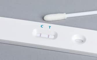 Covid-19 rapid test kit with positive result. Coronavirus home testing, pandemic and healthcare concept.