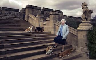 Corgi della regina Elisabetta II