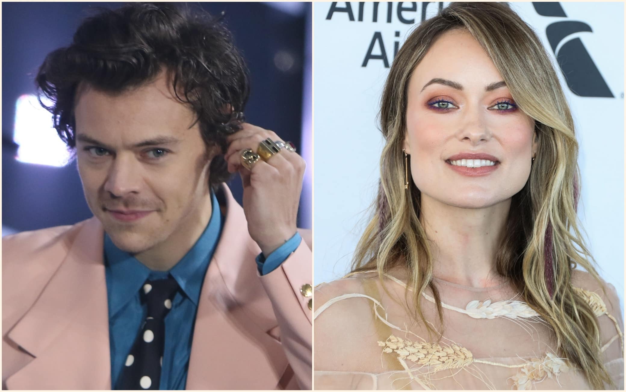 Harry Styles e Olivia Wilde si sono lasciati: la relazione finisce dopo 2  anni | Sky TG24