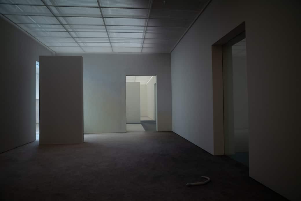 Pierre Huyghe, Fondation Beyeler, Riehen/Basel, 2026. Photos: Ola Rindal