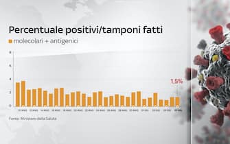 Nel grafico la percentuale di positivi sui tamponi giornalieri