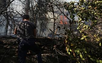 Incendi Grecia