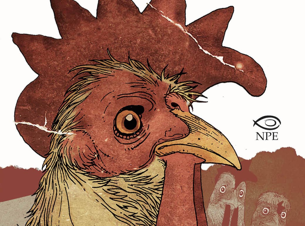 Un dettaglio della copertina di “Elmer”