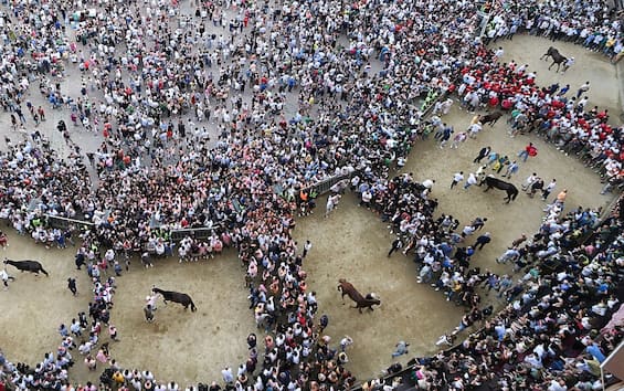 Palio di Siena rinviato per maltempo, pioggia su Piazza del Campo