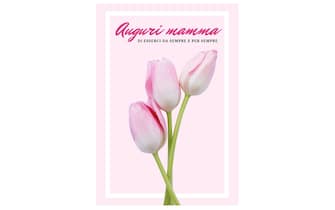 Un mazzo di tulipani