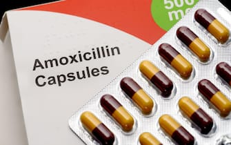 Amoxicillin capsules - penicillin-based antibiotic for treating infections