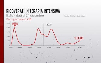 Ricoverati in terapia intensiva