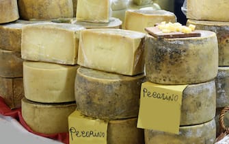 italian cheeses for sale and the text Pecorino that means made from sheep's milk