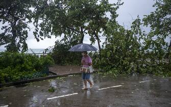 A pedestrian passes fallen trees following Super Typhoon Saola in Hong Kong, China, on Saturday, Sept. 2, 2023. Severe Typhoon Saola began to weaken and gradually depart Hong Kong, after bringing hurricane-force winds and heavy rain to the territory. Photographer: Justin Chin/Bloomberg via Getty Images