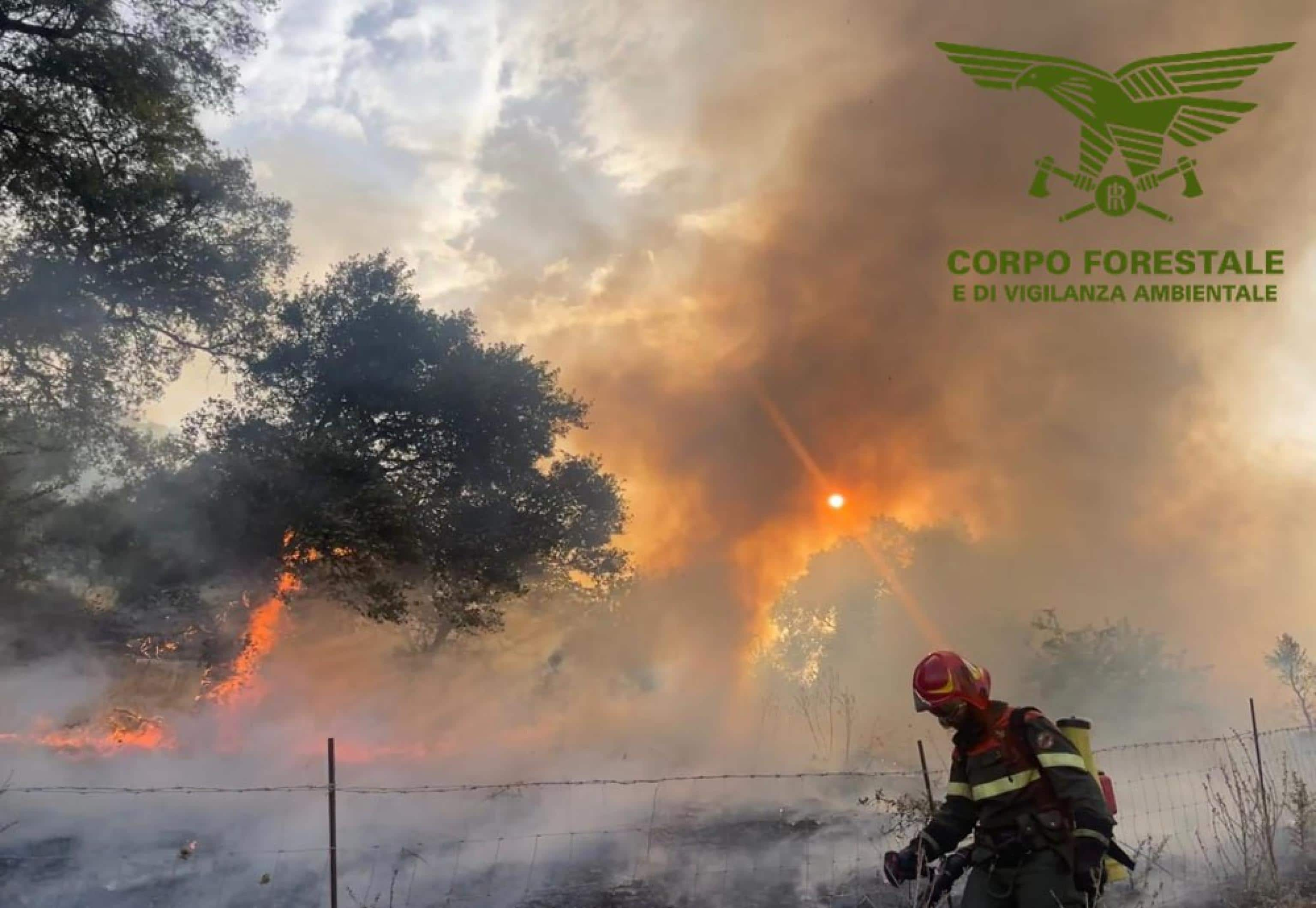 Ha continuato a bruciare per tutta la notte l'incendio che ieri, attorno alle 18, è divampato tra i territori di Benetutti, Orotelli, Orani, Orune e Nuoro, divorando centinaia di ettari. Dalle prime luci dell'alba sul posto stanno operando quattro Candair, due Super Puma e tre elicotteri della flotta regionale, per cercare di spegnere le fiamme che si estendono per 7 km. A terra oltre al Corpo Forestale, gli uomini di Forestas e i Barracelli 36 uomini dei Vigili del Fuoco con 14 mezzi al seguito. Sono 8 le persone che sono state evacuate da 4 ovili minacciati dalle fiamme. Sul posto anche la Polizia di Stato e i Carabinieri. ANSA/US CORPO FORESTALE +++ NO SALES, EDITORIAL USE ONLY +++ NPK +++