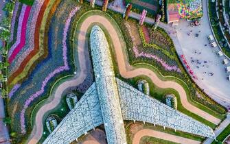 More than 5,000,000 fresh flowering plants and living plants have been used to bring a life-size version of an Emiorates A380 to life at Dubai Miracle Garden. INCREDIBLE aerial images have revealed a 90-degrees bird’s eye view of the one of the World’s most luxurious cities, Dubai. Stunning pictures show how the city has it all from huge skyscrapers to exotic resorts and marinas making way to glistening ocean water. Other striking snaps show the roads and motorways that make the infamous spaghetti junction look like a walk in the park, a beautiful flower display in the shape of an airplane and the slower-paced life on the beach. The unique perspective of the ‘City of Gold’ project was captured by financial controller Bachir Moukarzel (34), from Kahale, Lebanon. Bachir Moukarzel / mediadrumworld.com