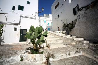 archivio: Ostuni, Puglia