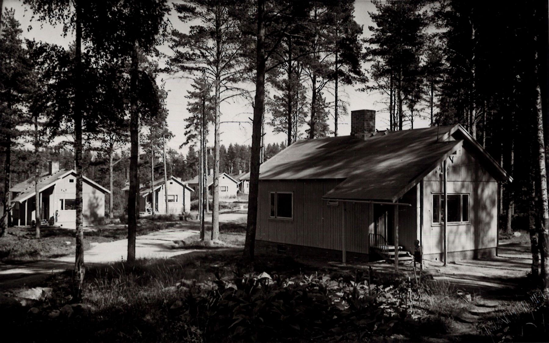 ELKA_Lohikoski.jpg