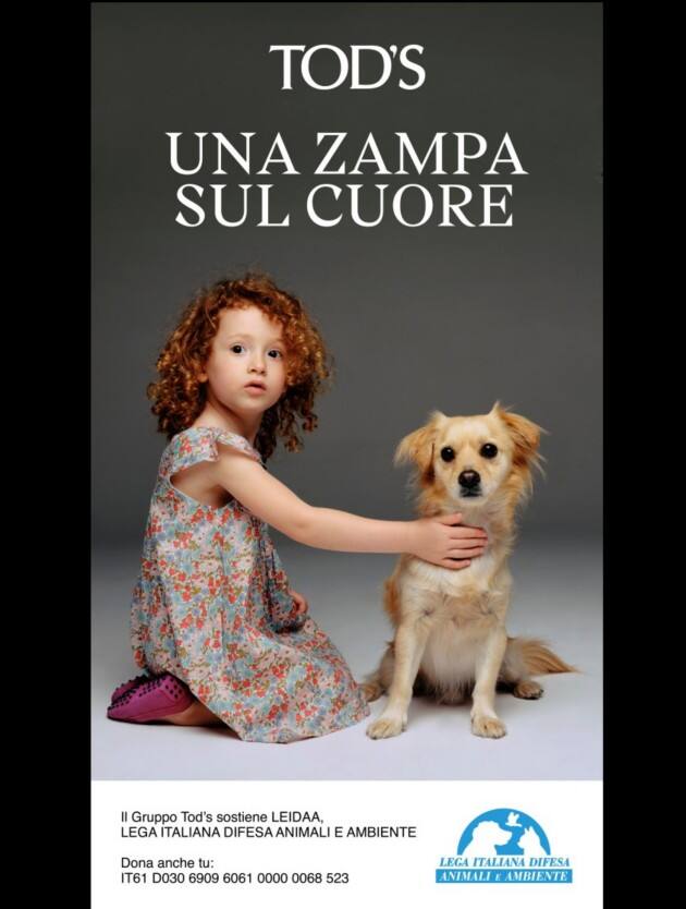 La campagna "Una zampa sul cuore"