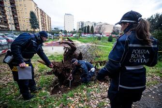 L'albero crollato nel parco Livio Labor a Colli Aniene, a Roma Agenti di Polizia sul luogo in cui una donna è morta, schiacciata da un albero caduto per il forte vento, in via Cesare Massimo a Colli Aniene, Roma, 23 dicembre 2024.
ANSA/ ANGELO CARCONI