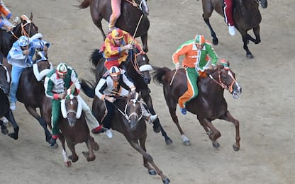 Palio di Siena dell'Assunta, contrada della Lupa vince l'edizione 2024