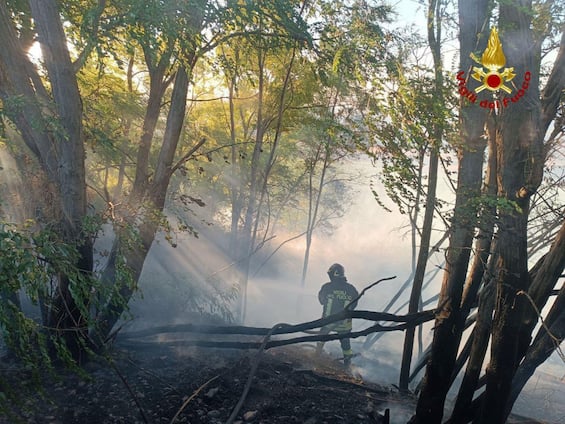Incendio a Castiglione della Pescaia, campeggio evacuato nella pineta di Roccamare