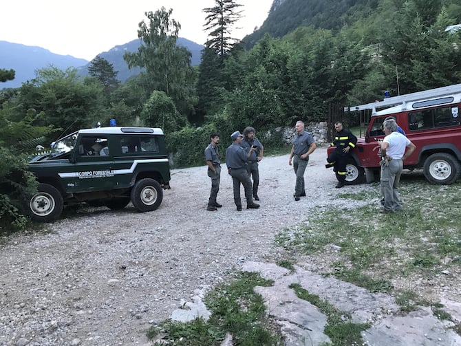 Orsi: come funziona lo spray anti-orso in arrivo in Trentino