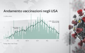 Nel grafico l'andamento delle vaccinazioni negli Usa