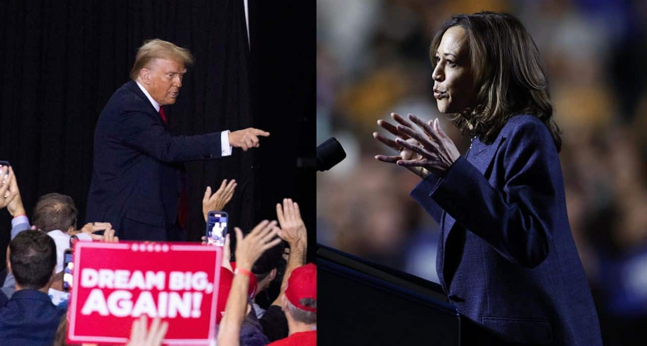 Trump - Harris