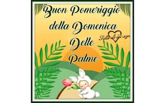 auguri domenica delle palme