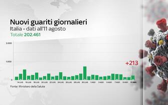 Grafiche coronavirus Italia