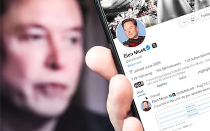 Gli investitori che comprarono Twitter con Musk hanno perso miliardi