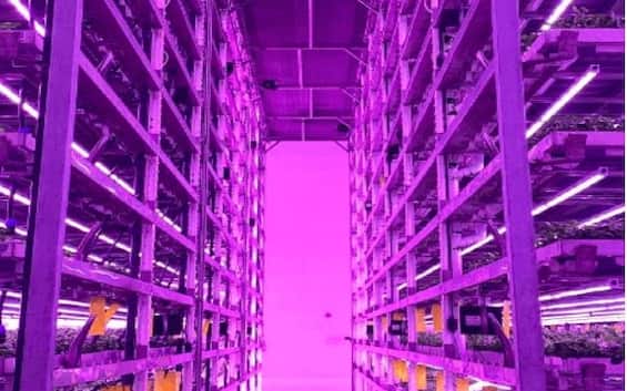 UK, world’s largest vertical farm opens in Gloucestershire