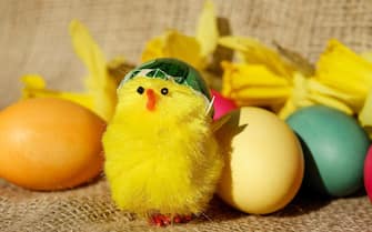 FRASI PASQUA