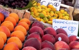 Nella foto scattata dalla Coldiretti ciliegie, pesche e albicocche vendute a prezzi pazzi al mercato di Campo dei Fiori di Roma. 
La Coldiretti autorizza la libera e gratuita diffusione della foto 
 
 
N.946 - 22 Dicembre 2011
 
 
 
NATALE: COLDIRETTI, CILIEGIE COME L’ORO, SCHIZZANO A 30 EURO/KG
 
Dalle ciliegie vendute a 30 euro al chilo alle albicocche che arrivano a 20 euro al chilo fino alle pesche offerte a 15 euro al chilo è lunga la lista dei prodotti con i prezzi schizzati alle stelle con l’arrivo del Natale. E’ quanto emerge da un monitoraggio della Coldiretti dal quale si evidenzia che nonostante la crisi sono in molti  ad acquistare prodotti ritenuti  “snob” che pesano sulle tasche, danneggiano l’economia del Made in Italy e concorrono ad inquinare l’ambiente perché trasportati da lontano. Meglio seguire le indicazioni del presidente del Consiglio Mario Monti che - riferisce la Coldiretti - nelle sue dichiarazioni alla camera aveva  dichiarato che "quando si acquista un bene o un manufatto prodotto in Italia non solo si sceglie la qualita' delle esperienze e delle conoscenze del nostro Paese, ma si contribuisce a tenere in vita aziende e sostenere posti di lavoro sul nostro territorio". Il consumo durante le feste di fine anno di prodotti fuori stagione provenienti di migliaia di chilometri di distanza è - sottolinea la Coldiretti - una tendenza che concorre a far saltare il budget dei cenoni con prezzi superiori ben oltre le dieci volte quelli di mele, pere, kiwi, uva, arance e clementine Made in Italy e appare del tutto ingiustificata perché si tratta spesso di prodotti poco gustosi e saporiti, essendo stati raccolti ad un grado di maturazione incompleto per poter resistere a viaggi di migliaia di chilometri percorsi su mezzi inquinanti che liberano nell'aria gas ad effetto serra. E' stato calcolato che - precisa la Coldiretti - un chilo di albicocche australiane viaggiano per oltre sedicimila km, bruciano 9,4 chili di petrolio e liberano 29,3 chili di anidride carbonica, un chilo di ciliegie dal Cile per giungere sulle tavole italiane deve percorrere quasi 12mila chilometri con un consumo di 6,9 chili di petrolio e l'emissione di 21,6 chili di anidride carbonica, mentre un chilo di mirtilli dall’Argentina deve volare per piu’ di 11mila chilometri con un consumo di 6,4 kg di petrolio che liberano 20,1 chili di anidride carbonica attraverso il trasporto con mezzi aerei. Secondo la Coldiretti la  voglia di cambiamento o il bisogno di stupire gli ospiti nei banchetti natalizi o di fine anno possono essere soddisfatte dalla riscoperta dei frutti meno “diffusi”, ma nazionali come cachi e fico d'India o antiche varietà, dalla mela limoncella alla pera madernassa, che valorizzano le tradizioni del territorio e garantiscono un sicuro successo a prezzi contenuti, rimandando alla giusta stagione il consumo di ciliegie, albicocche e pesche.. Molto spesso questi prodotti - conclude la Coldiretti - possono essere acquistati nei mercati degli agricoltori di Campagna Amica presenti nelle piccole e grandi città che garantiscono l’origine locale dei prodotti offerti direttamente dagli agricoltori con il miglior rapporto qualità/prezzo.
 
 
COLDIRETTI - 335 8245417 - 06 4682487  - FAX 06 4871199 - www.coldiretti.it
 
