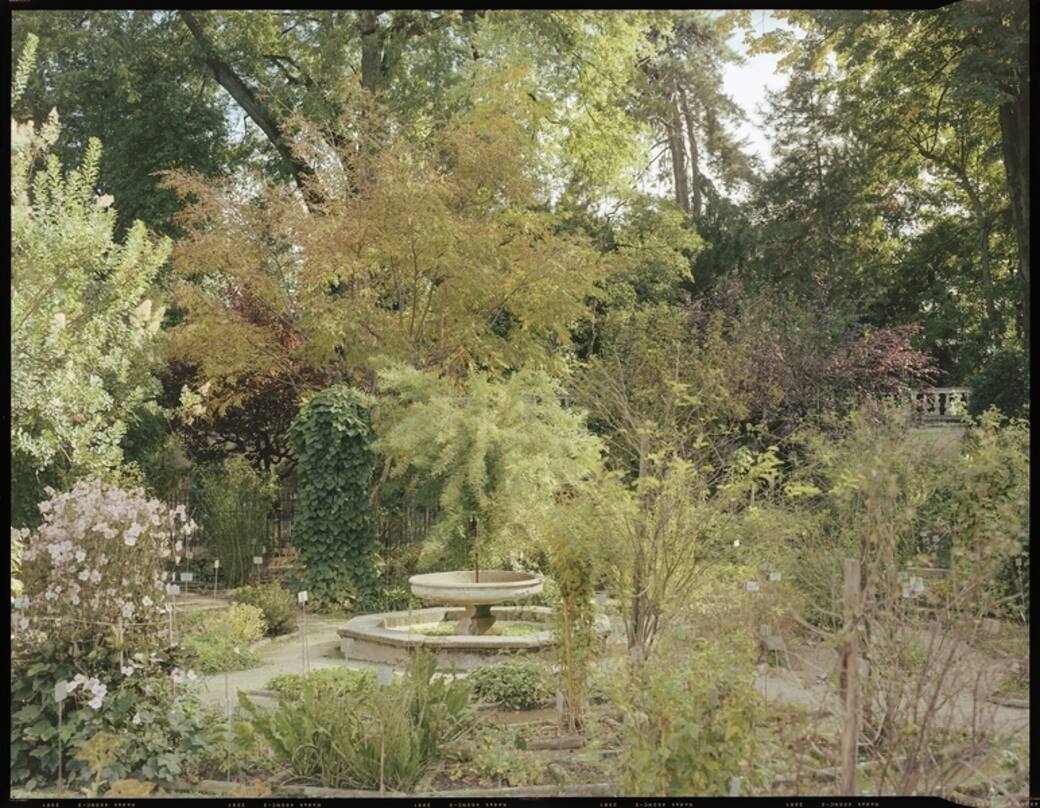 6_Orto_Botanico_Quarto_dell_Albizia.jpg
