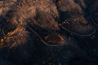 A burnt forest following a wildfire in the National Park of Dadia, Alexandroupolis, Greece, on Monday, Aug. 28, 2023. With more than 72,000 hectares burnt, the Alexandroupolis wildfire in Evros is the largest on record in the EU. Photographer: Konstantinos Tsakalidis/Bloomberg via Getty Images