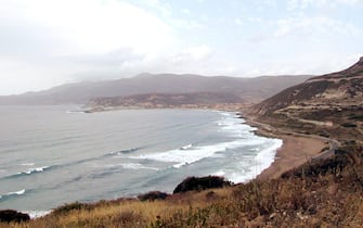 Bosa
