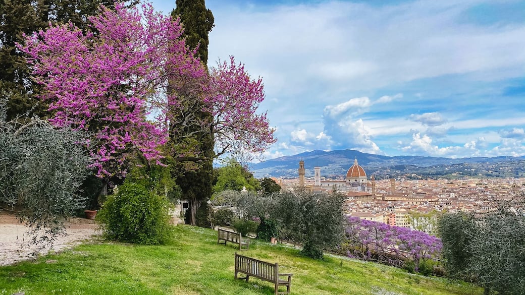 fcrf-villa-bardini-fioritura-2021-ph-stefano-casati-31.jpeg
