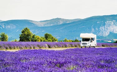 Campervan moving through a lavender field in Provence, France