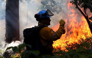 A Parks Canada crew member observes a section of Camelot Island, as part of a prescribed fire in Thousand Islands National Park in an effort to protect the rare, fire dependent pitch pine Tuesday July 22, 2014. THE CANADIAN PRESS/Fred Chartrand