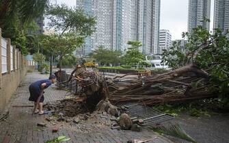 A pedestrian looks at a fallen tree following Super Typhoon Saola in Hong Kong, China, on Saturday, Sept. 2, 2023. Severe Typhoon Saola began to weaken and gradually depart Hong Kong, after bringing hurricane-force winds and heavy rain to the territory.Â  Photographer: Justin Chin/Bloomberg via Getty Images