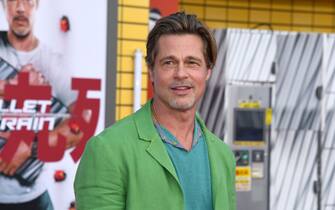 Brad Pitt