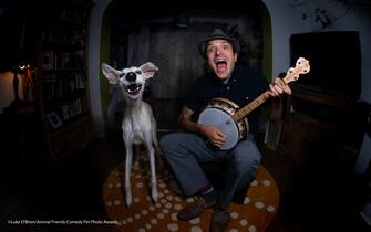 Le foto dei 40 finalisti all'Animal Friends Comedy Pet Photo Awards