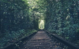 viaggi fenomeni naturali