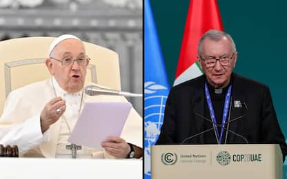 Cop28, il Papa: “La devastazione del Creato è un'offesa a Dio”