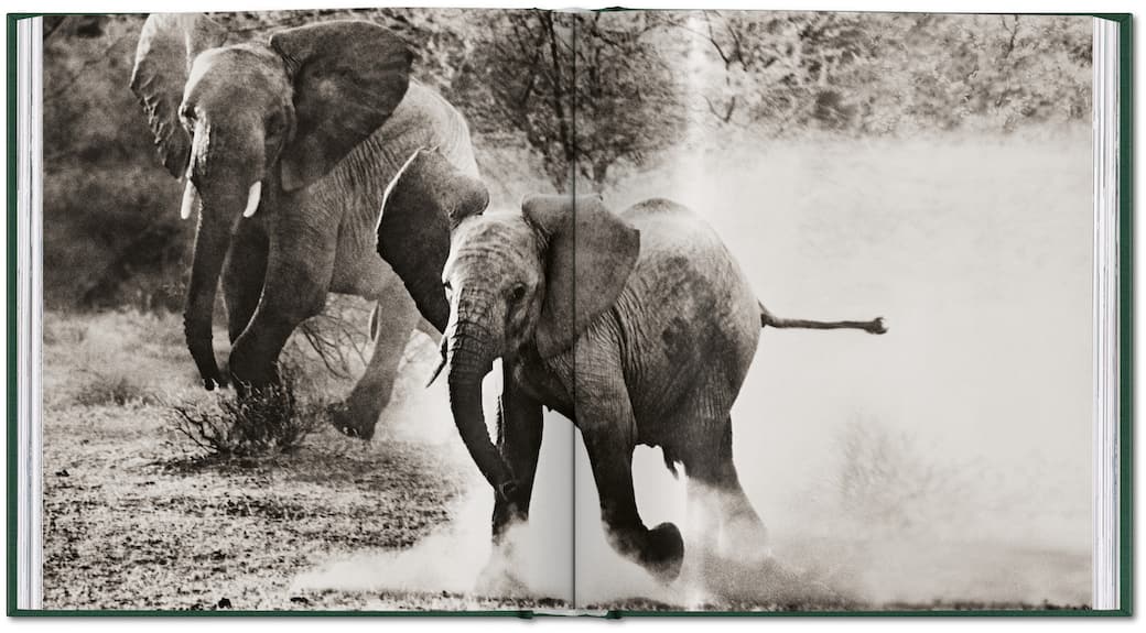 Courtesy Taschen