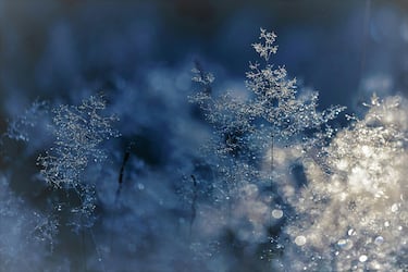 Venerdì 29 novembre: aria fredda e vortice