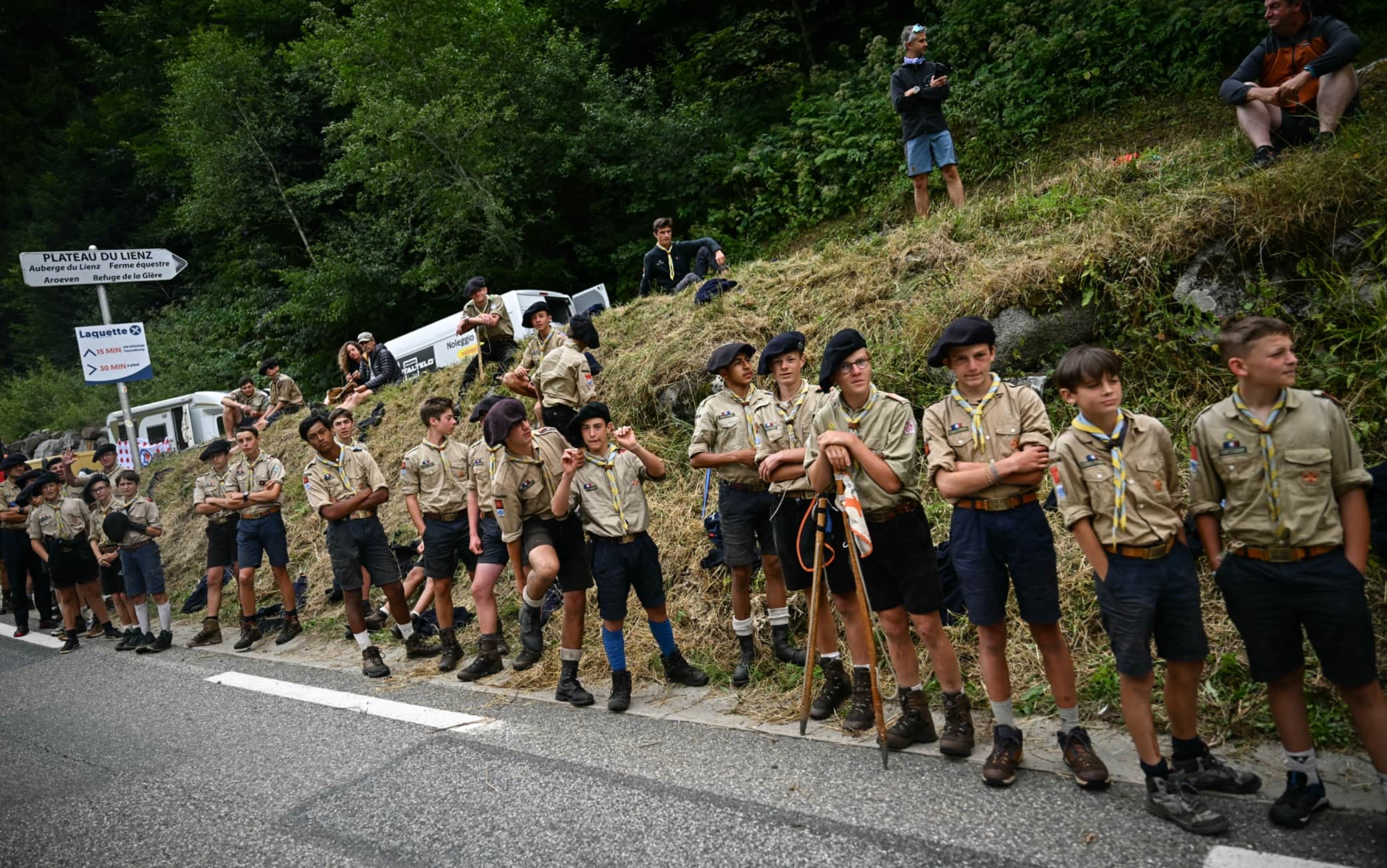 Scout