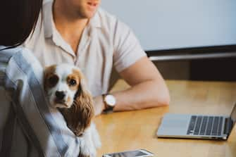 Businesspeople in a co-working space that functions as their office